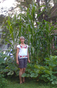 corn is growing